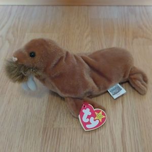 Paul, TY beanie baby